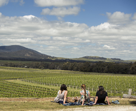 GRAMPIANS WINE 267x218