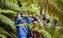 WildlifeWonders 100 resized