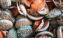 low res abalone copy