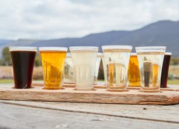 GT wine Day2 9801 Beer paddle