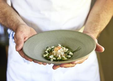 Southern calamari barbecued with brassicas and citrus intense broth of roasted blue mackerel