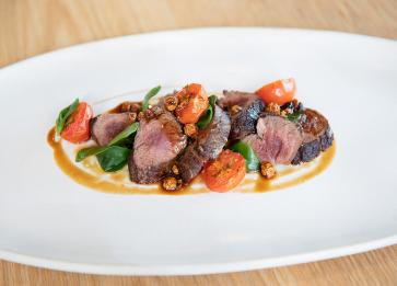 THECOAST kangaroo