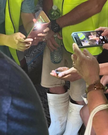 Summer 2024 tour group phones copy
