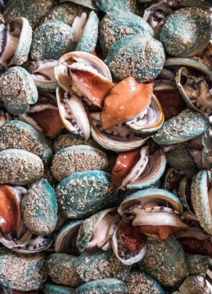 low res abalone copy